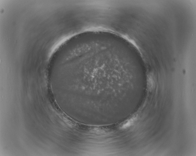 X0000060791311200511241834