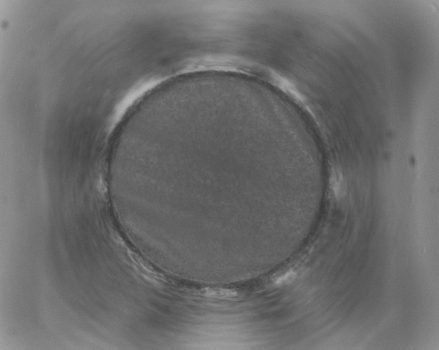 X0000060791312200511241834