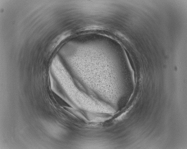 X0000060791313200511241834