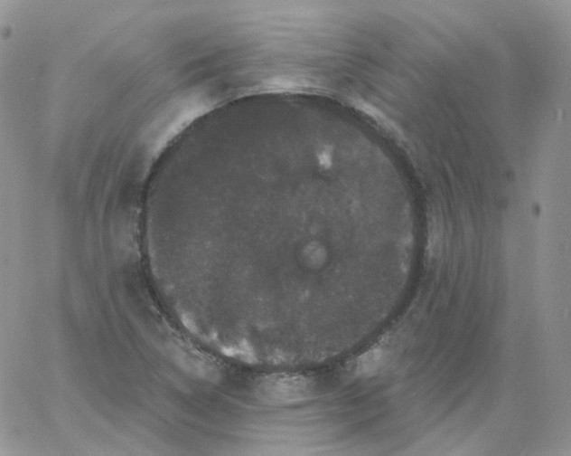 X0000060791314200511241834