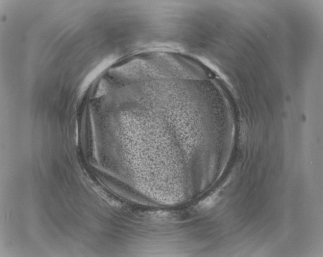 X0000060791317200511241835