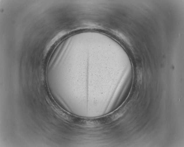 X0000060791318200511241835