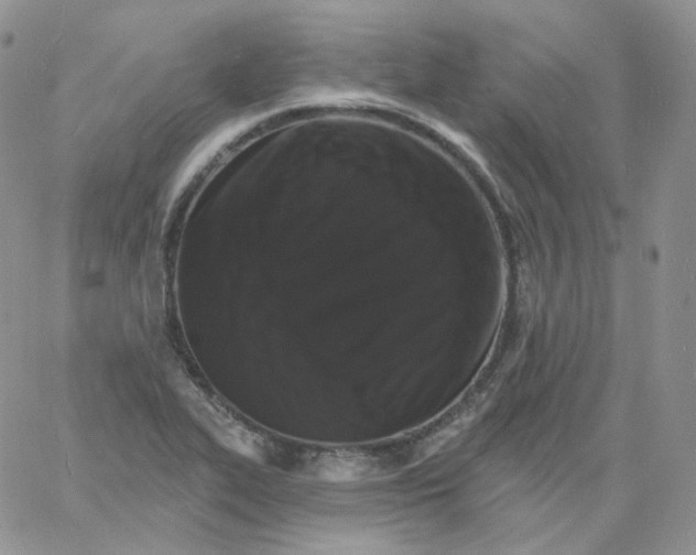 X0000060791319200511241835