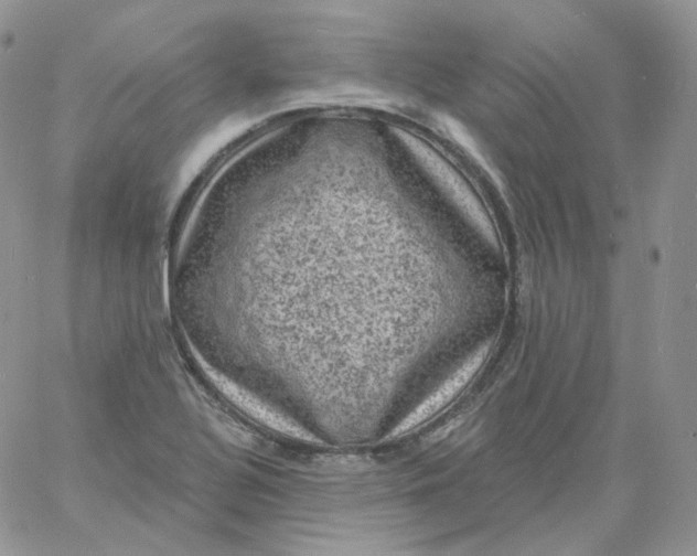 X0000060791320200511241835