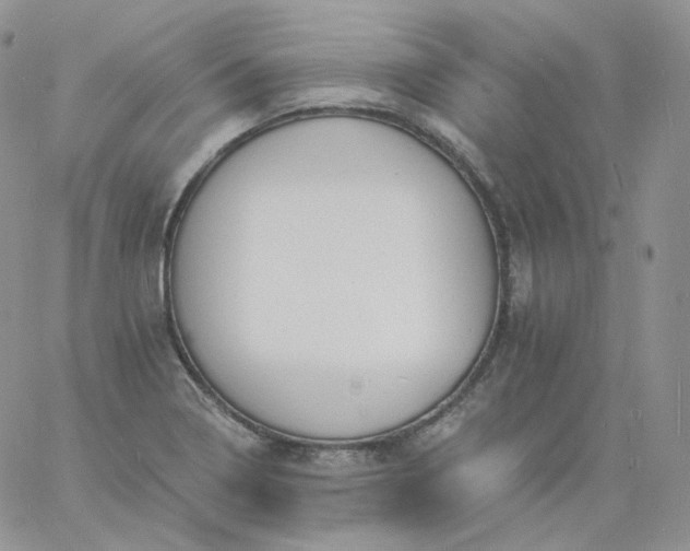 X0000060791322200511241835