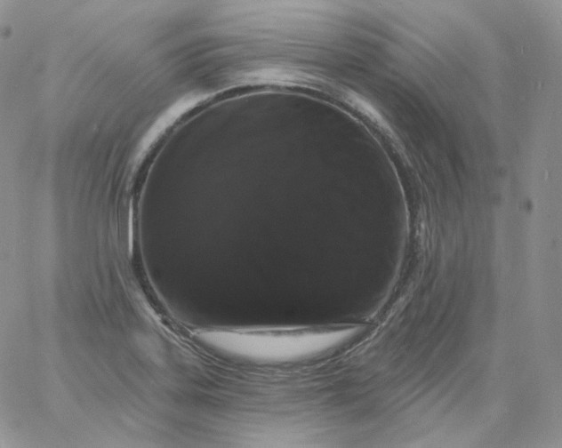 X0000060791323200511241835