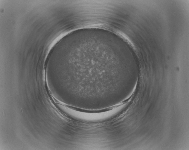 X0000060791324200511241835