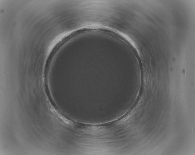 X0000060791327200511241835