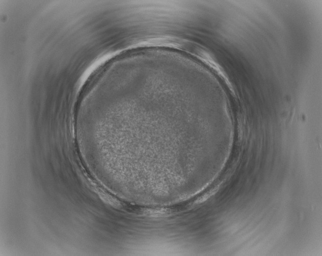 X0000060791328200511241835