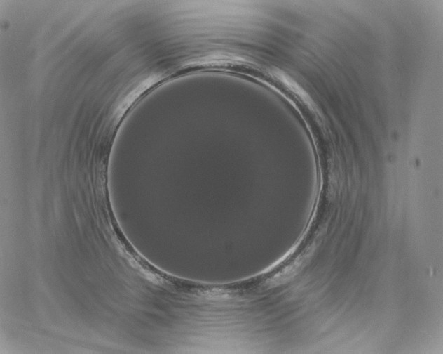 X0000060791329200511241835