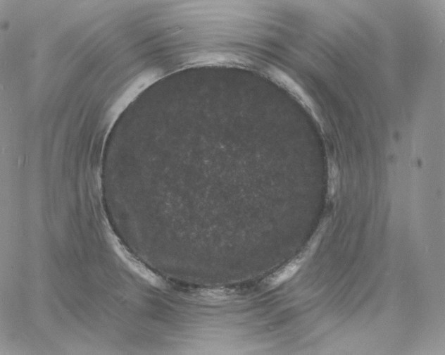 X0000060791330200511241835