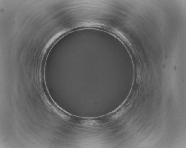 X0000060791331200511241835