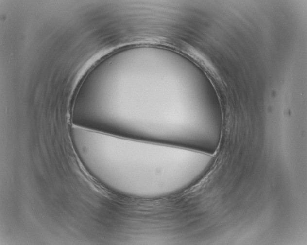 X0000060791332200511241835