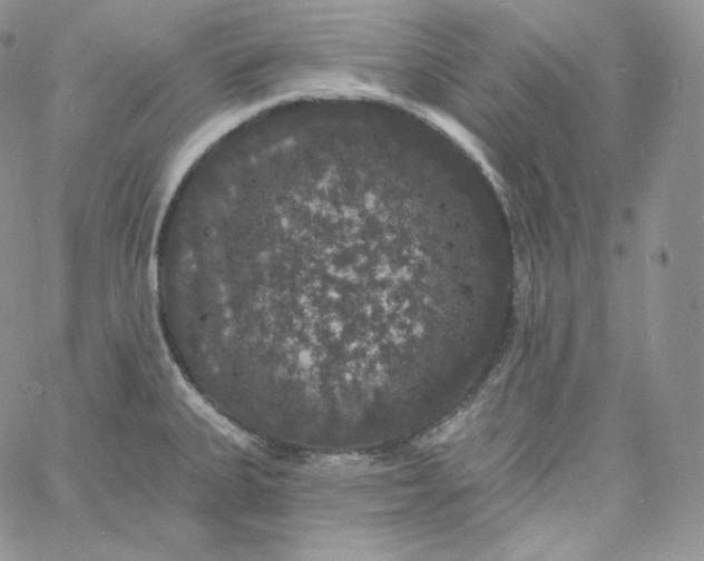 X0000060791335200511241835