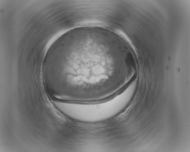 X0000060791336200511241835