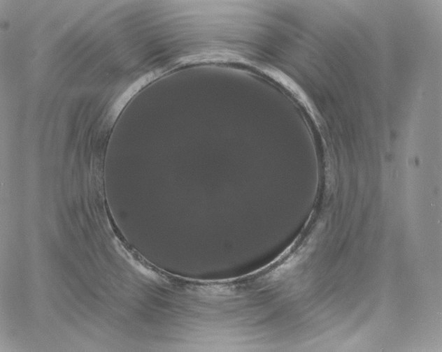 X0000060791337200511241835