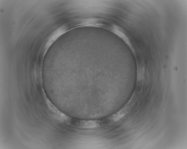 X0000060791338200511241835