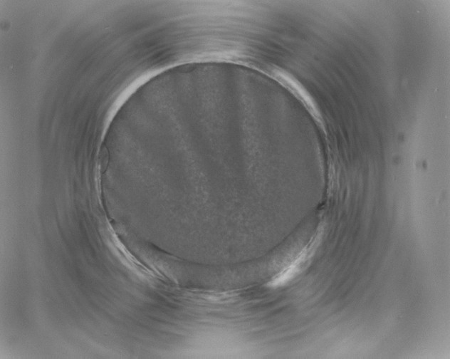 X0000060791340200511241835