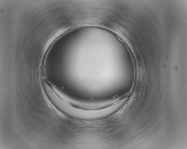 X0000060791341200511241835