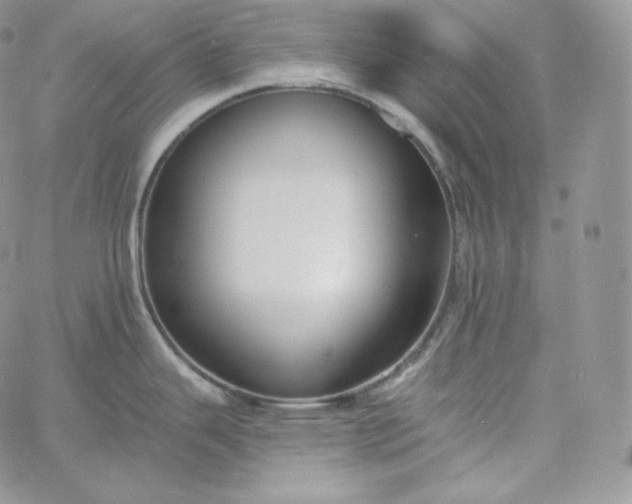 X0000060791343200511241835