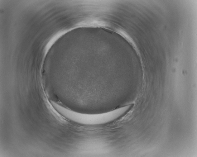 X0000060791344200511241835