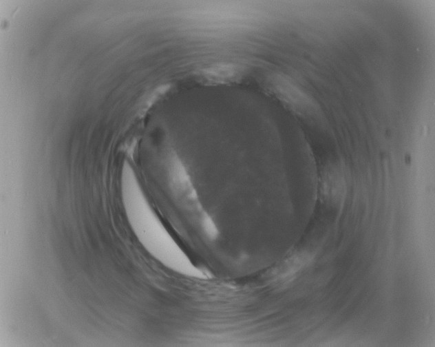 X0000060791346200511241834