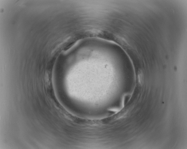 X0000060791347200511241834