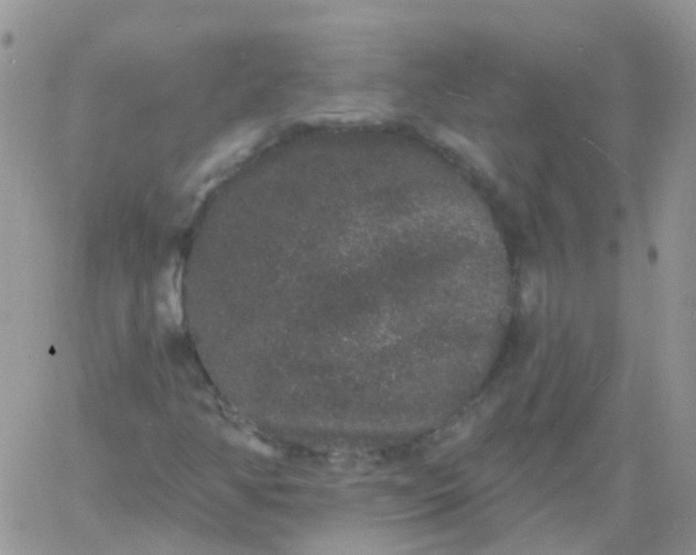 X0000060791350200511241834