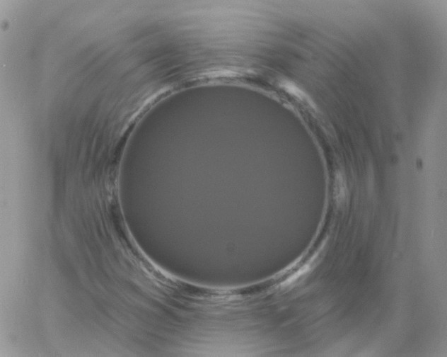 X0000060791353200511241834