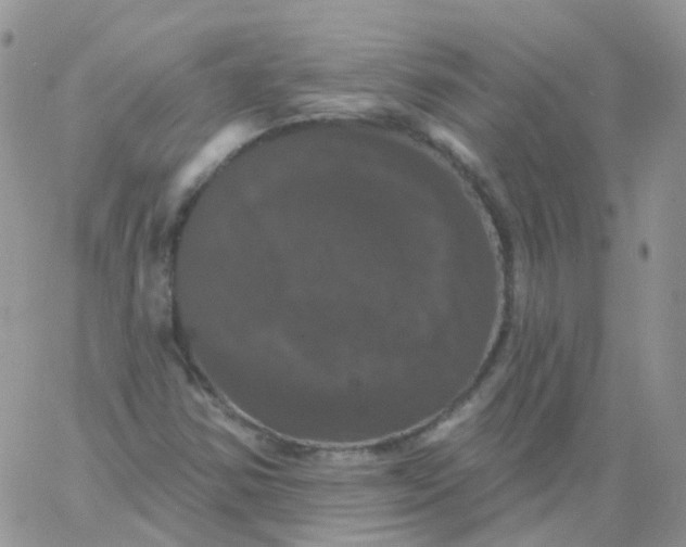 X0000060791354200511241834