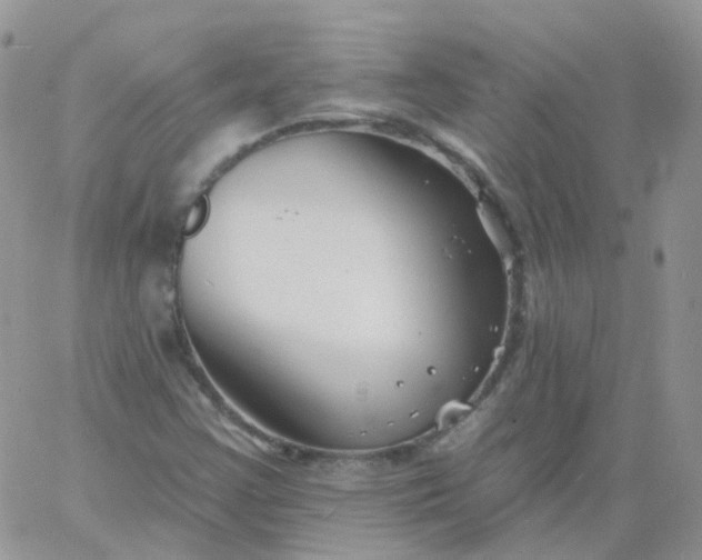 X0000060791355200511241834