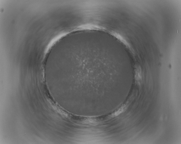 X0000060791358200511241834