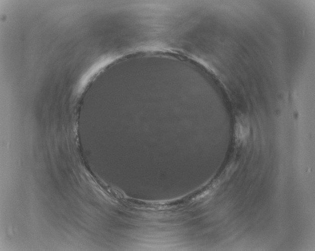 X0000060791359200511241834