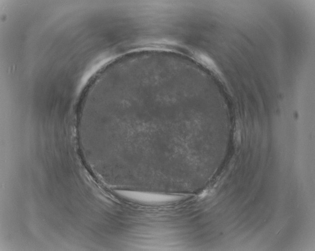 X0000060791360200511241834