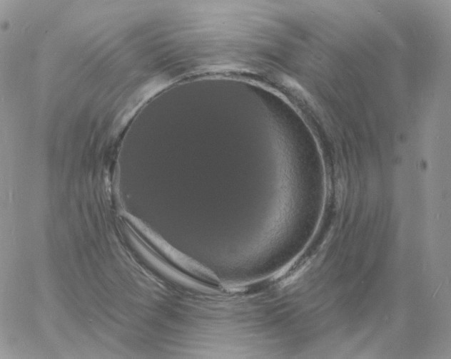 X0000060791361200511241834