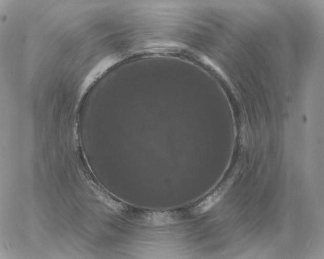 X0000060791362200511241834