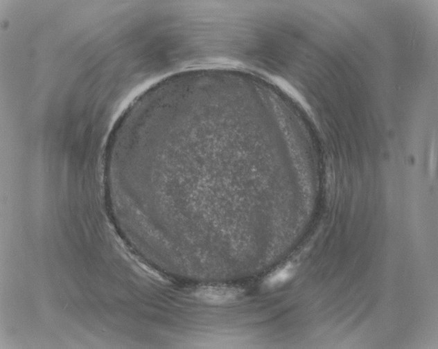 X0000060791364200511241834