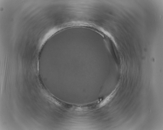 X0000060791365200511241834