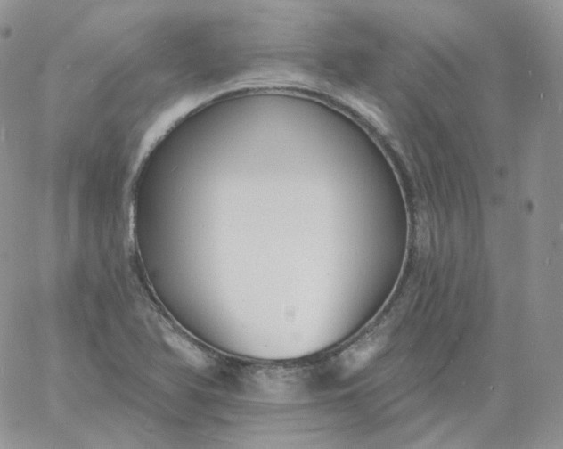 X0000060791366200511241834