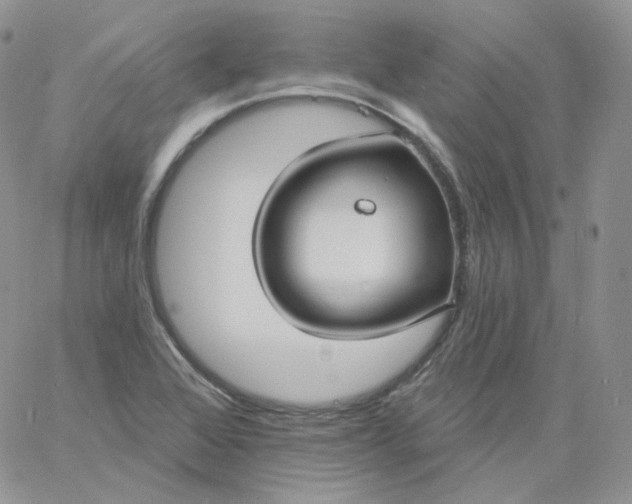 X0000060791368200511241834