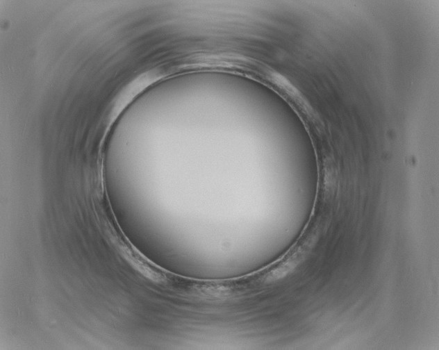 X0000060791370200511241834