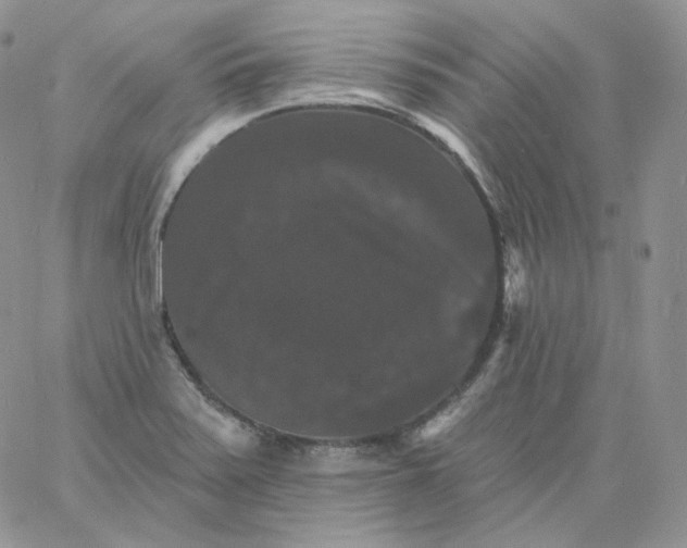 X0000060791371200511241834