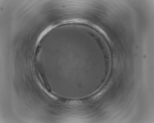 X0000060791373200511241834