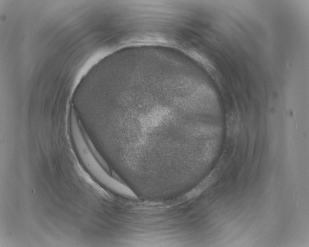 X0000060791374200511241834