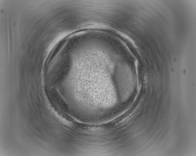 X0000060791375200511241834