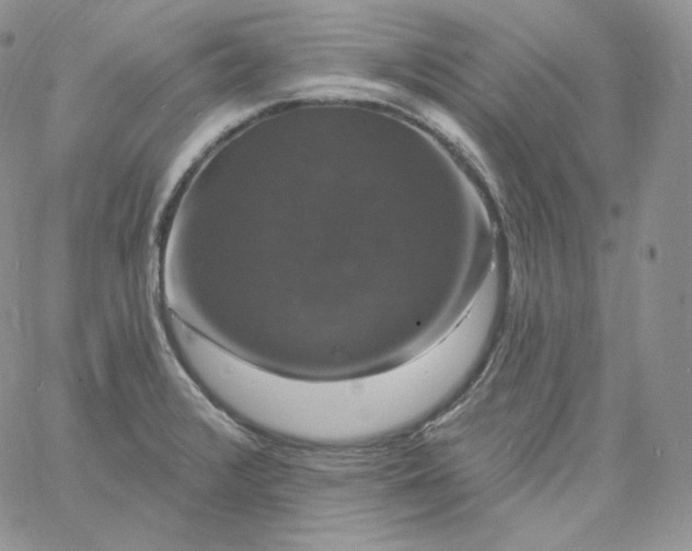 X0000060791376200511241834