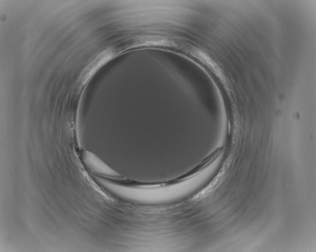 X0000060791377200511241834