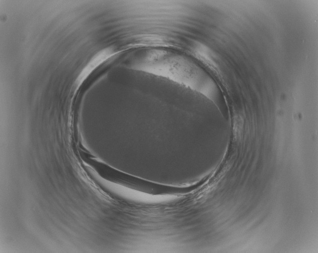 X0000060791378200511241834