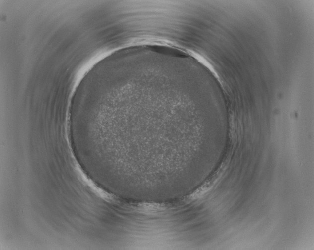 X0000060791379200511241834