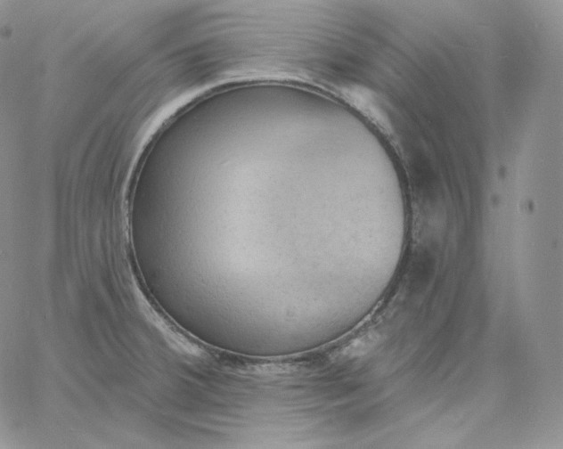 X0000060791380200511241834